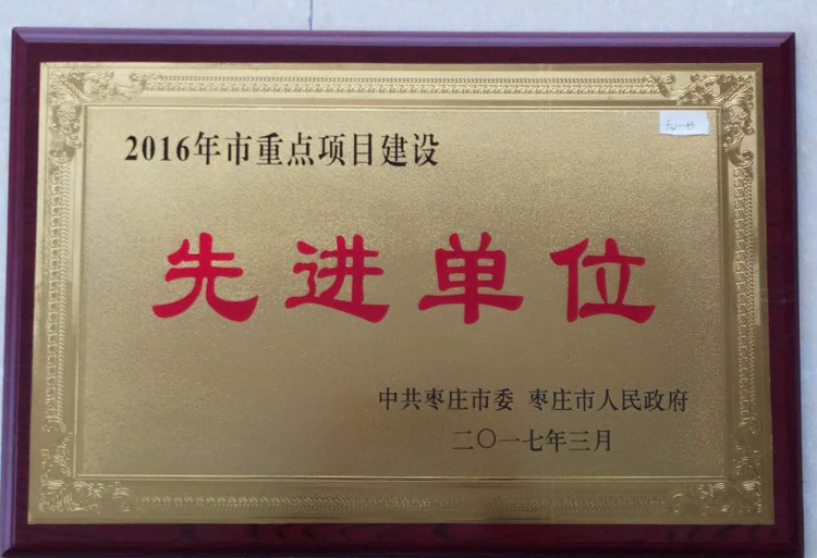 17-3-2016年度市重點(diǎn)項目建設(shè)先進(jìn)單位.jpg